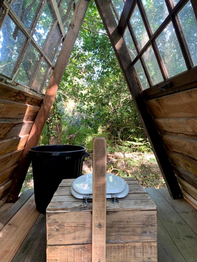 Magic Roof Top Bus With Big Bath In The Tree Forest! มีมีซ็อง ภายนอก รูปภาพ