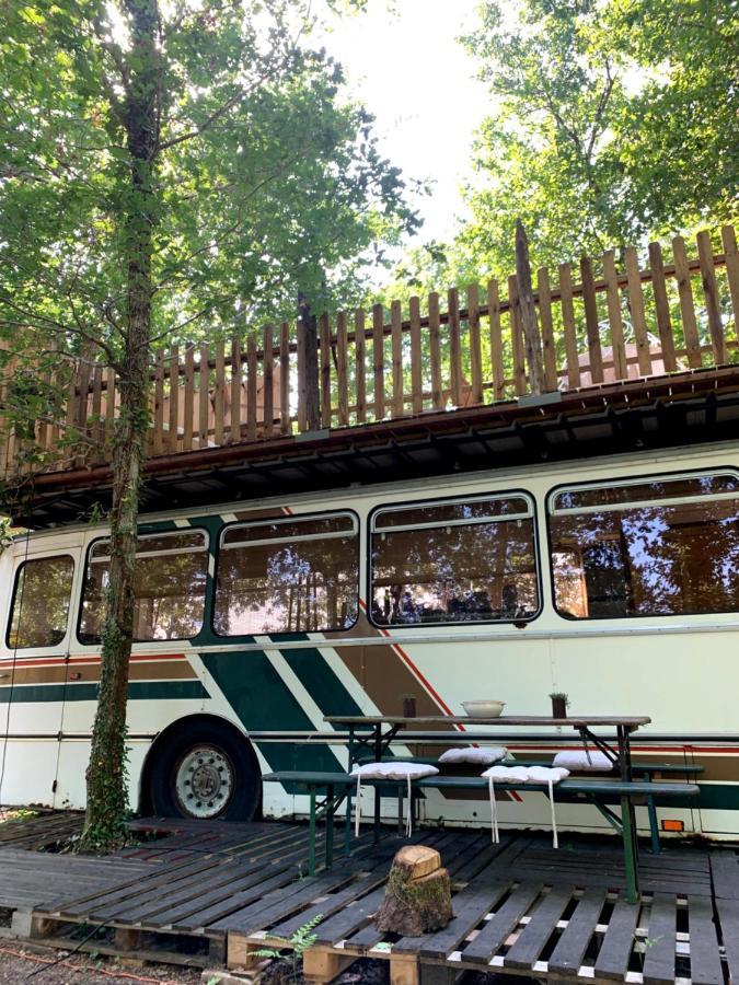 Magic Roof Top Bus With Big Bath In The Tree Forest! มีมีซ็อง ภายนอก รูปภาพ